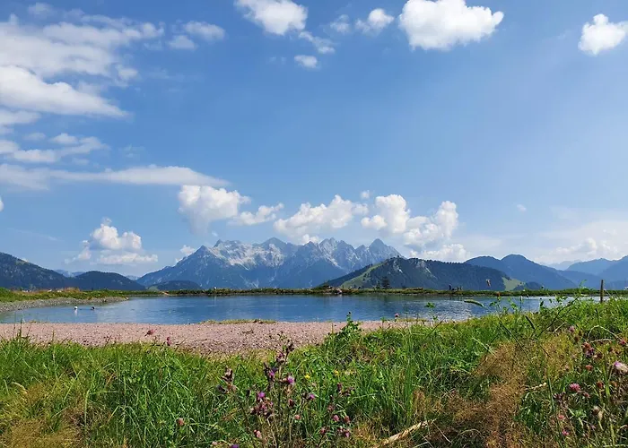 Rosas فيبربرن